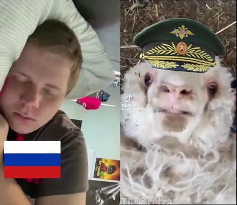 Повестка застала врасплох