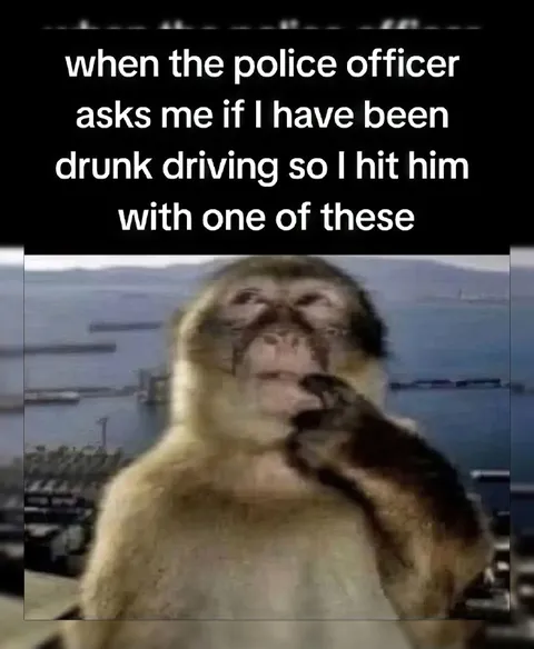 Monkey Hits Police Officer
