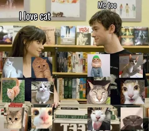 I Love Cats, Me Too