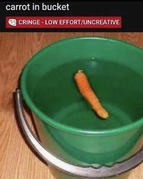 Carrot in Bucket