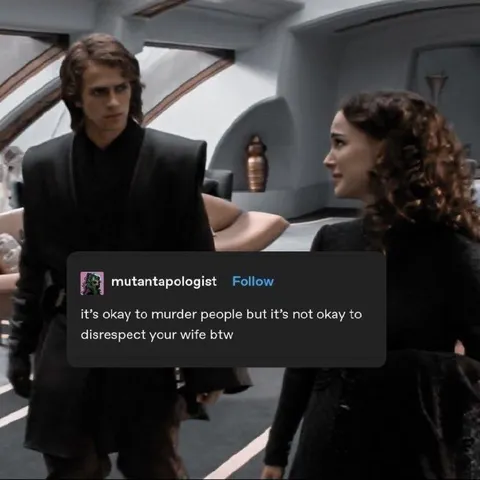 Anakin Defends His Wife