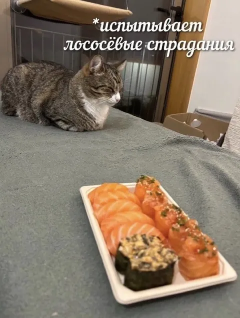 Лососёвые страдания кота