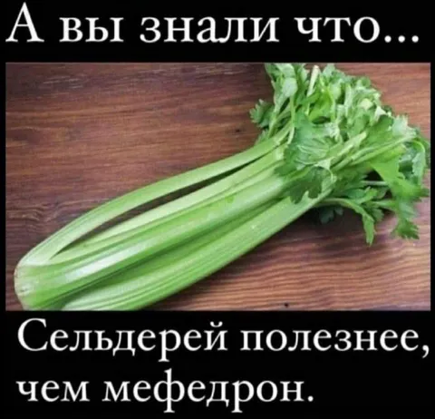 Сельдерей полезнее медведрона