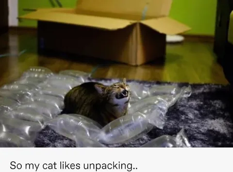 Cat Likes Unpacking
