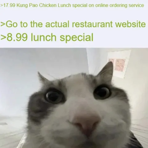 Cat Discovers Cheaper Lunch Special