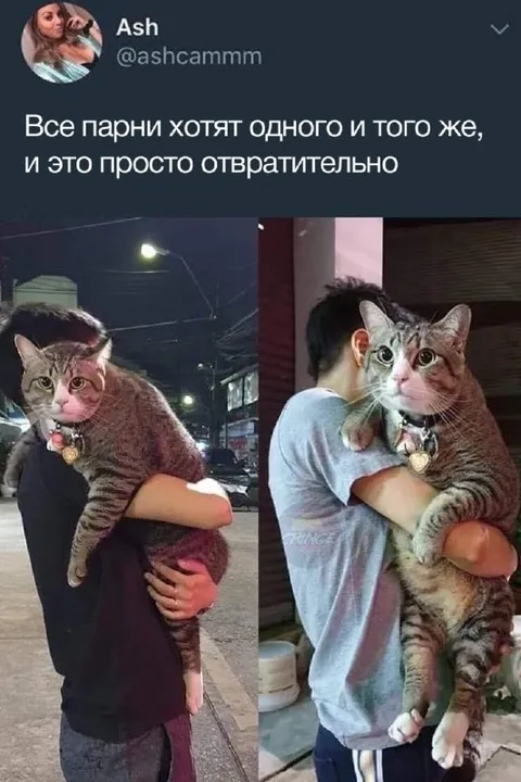 Все парни хотят одного и того же