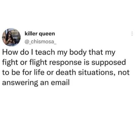 Fight or Flight Email Anxiety