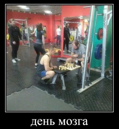 День мозга в спортзале