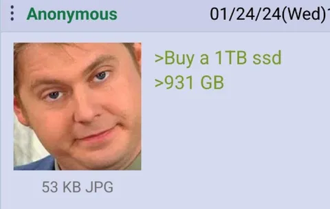 Buying a 1TB SSD for a 53KB JPG