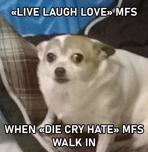 Live Laugh Love Dog Reaction