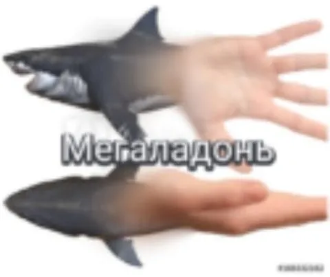 МегаЛадонь-акула