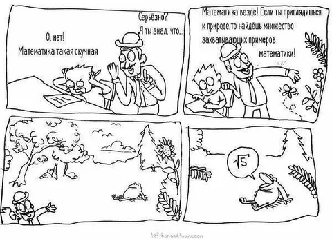 Математика повсюду в природе