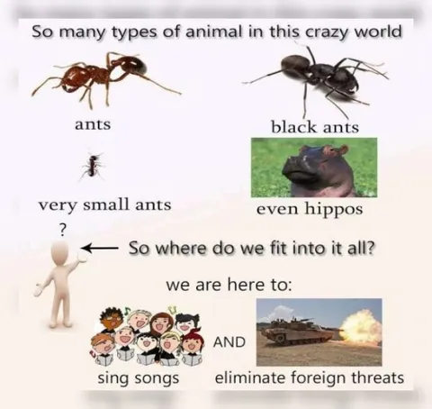 So Many Types of Animals