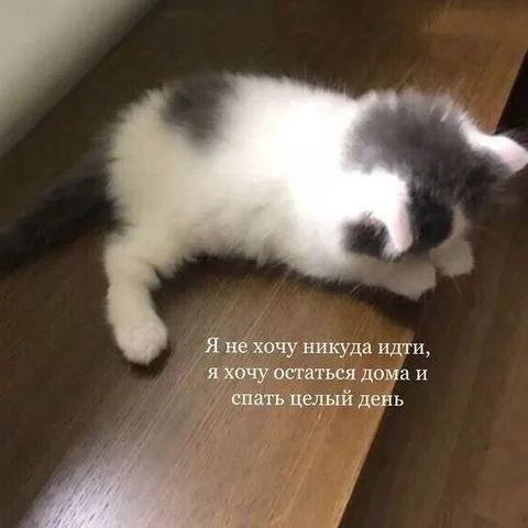Не хочу никуда идти