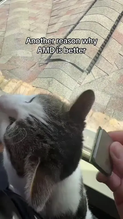 Another Reason AMD Is Better