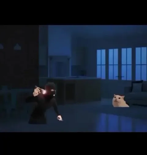 Florida Man Shaves the Cat
