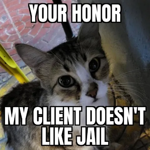 Your Honor, My Client Dislikes Jail