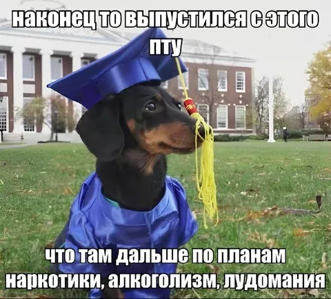 Выпустился из ПТУ
