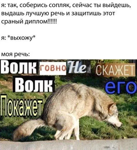 Лучшая речь про волка