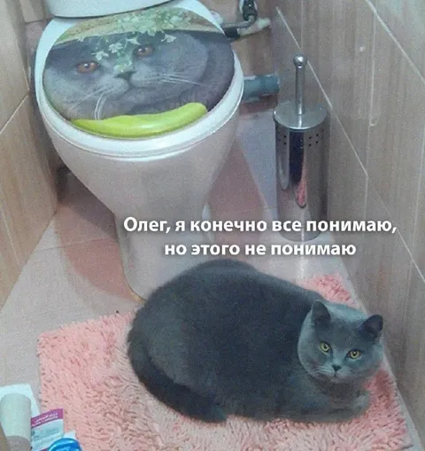 Олег, я этого не понимаю