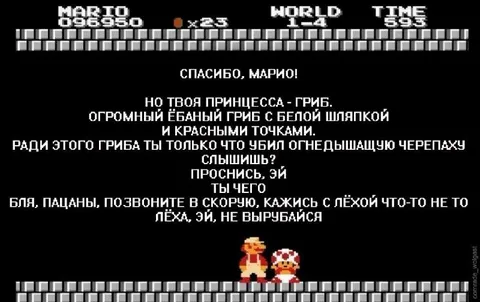 Марио спас гриб вместо принцессы