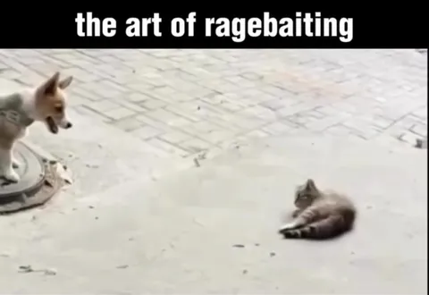 The Art of Ragebaiting