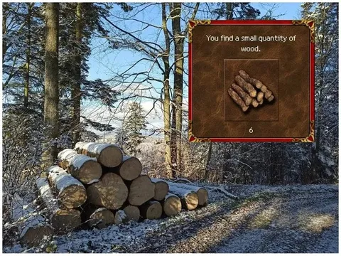 Small Quantity of Wood