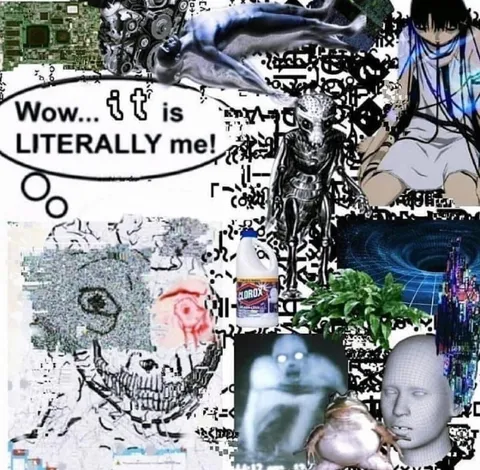 It Is Literally Me Collage
