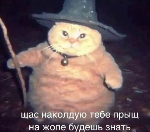 Кот-ведьмак наколдует прыщ