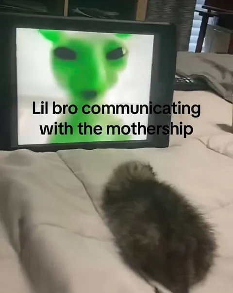 Lil Bro Contacts the Mothership