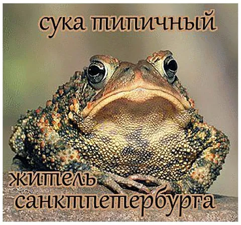 Типичный житель Санкт-Петербурга