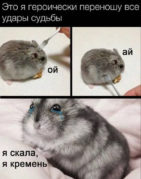 Хомяк переносит удары судьбы