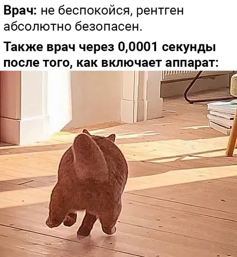 Кот после включения рентгена