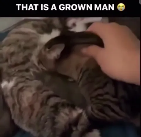 That Is a Grown Man Crying