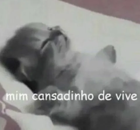Mim cansadinho de vive