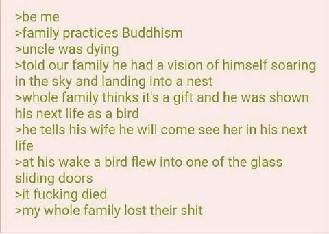 Bird Reincarnation Goes Wrong