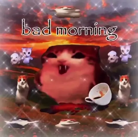 Bad Morning Cat Video