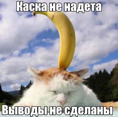 Каска не надета, выводы не сделаны