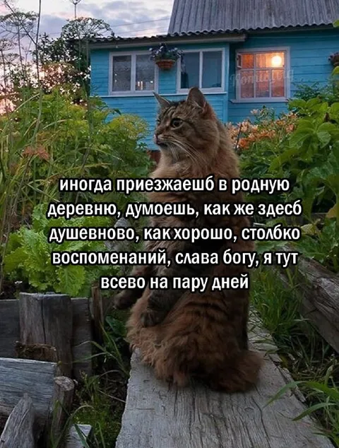 Приехал в родную деревню