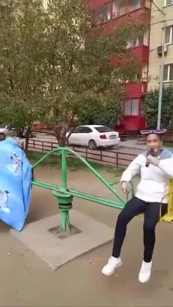 Собака катается на карусели