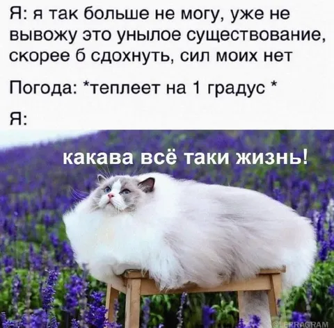 Потеплело на один градус
