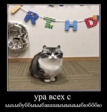 Кот поёт за всех