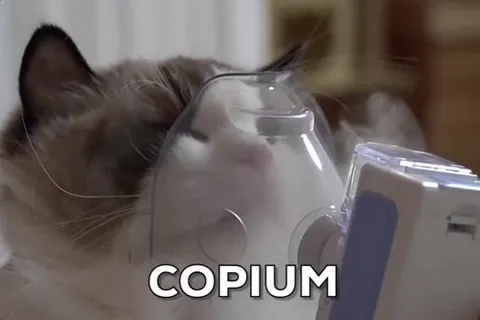 Cat Huffs Copium