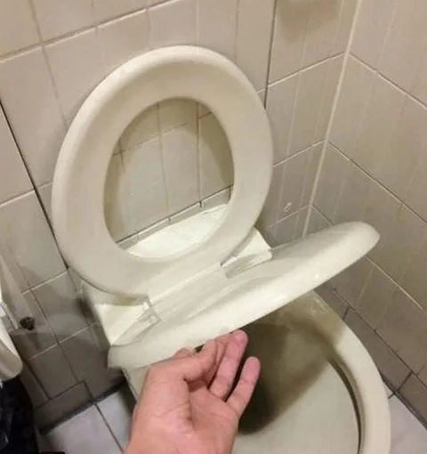 Унитаз с неожиданным сюрпризом