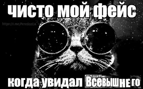 Кот увидел Всевышнего