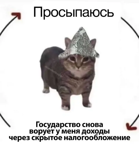 Просыпаюсь и плачу налоги