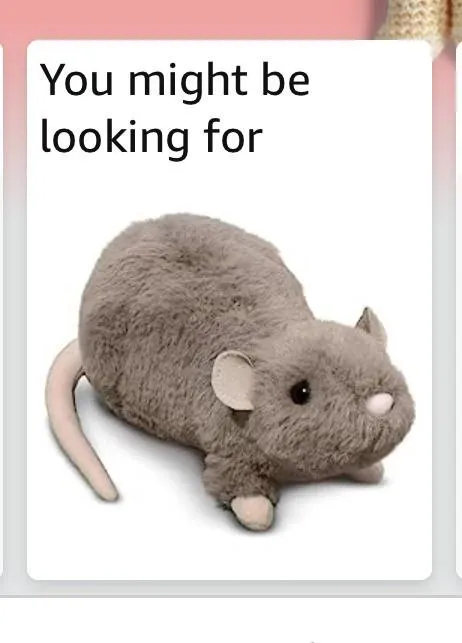 You Might Be Looking For Mouse