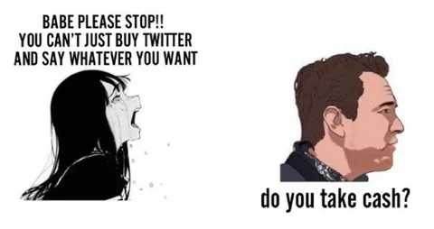 You Can't Buy Twitter