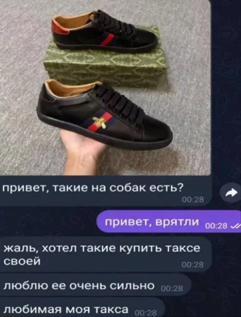 Кроссовки для любимой таксы