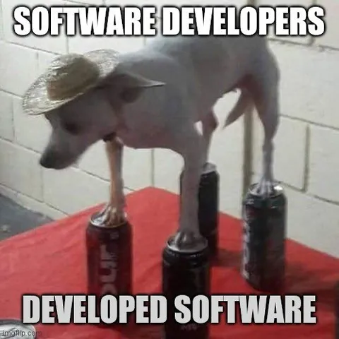 Software Developers Developed Software